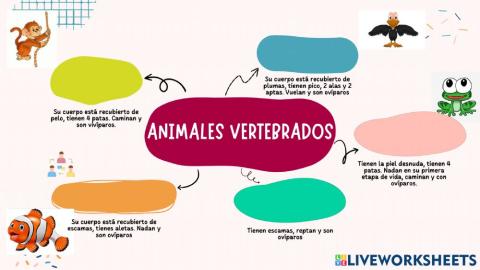 Visual thinking animales vertebrados