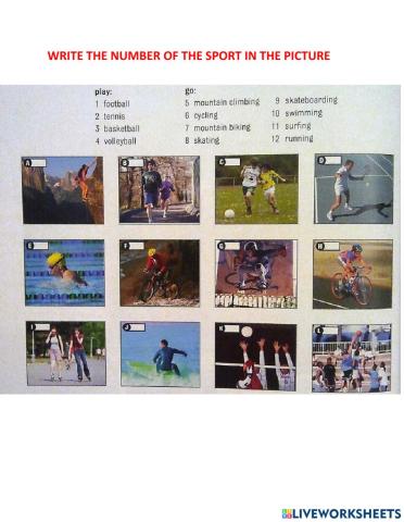 Vocabulary Of Sport And Sickness