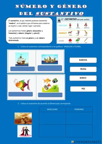 Genero y sustantivo
