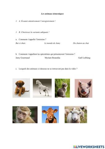 Les animaux domestiques