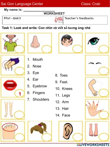Ffs1-unit 3 ( 16-07)