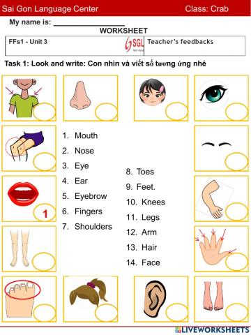 Ffs1-unit 3 ( 16-07)