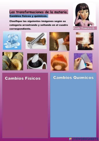Cambios físicos y químicos