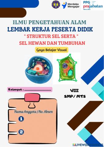 Sel Tumbuhan dan Sel Hewan