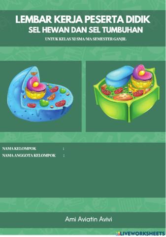 Lkpd sel (kelompok audio)