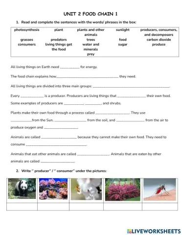 Sr unit 2 food chain 1
