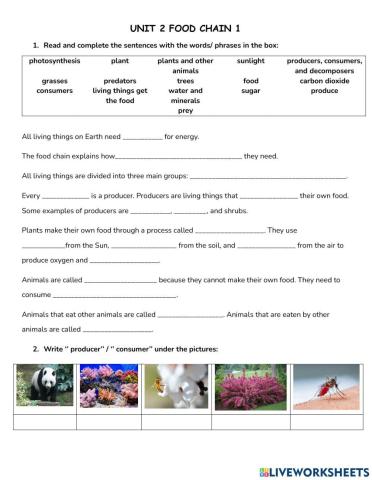 Sr unit 2 food chain 1