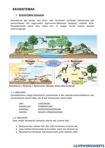 Ekosistemen osagaiak
