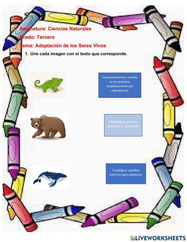 Adaptación de los seres vivos
