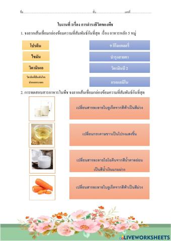 ใบงานที่ 1 เรื่องการดำรงชีวิตของพืช
