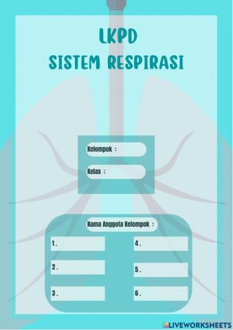 Sistem Respirasi