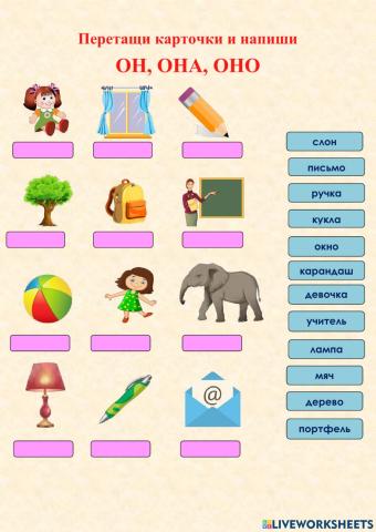 ОН ОНА ОНО лексика