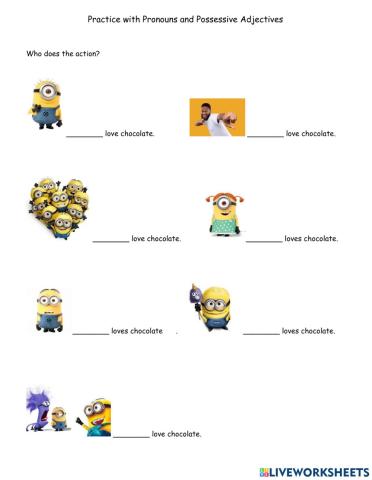 Subject and Object Pronouns, and Possessive Adjectives