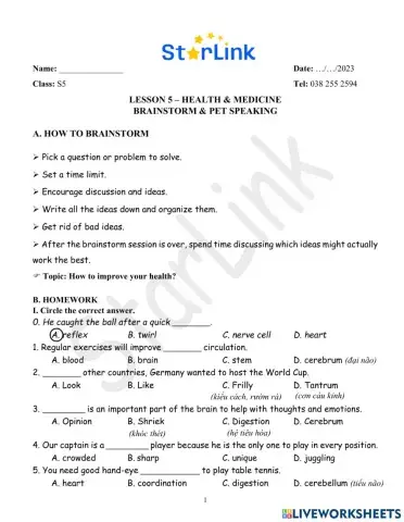 Foreign-W5-S5-BRAINSTORM-AND-PET-SPEAKING
