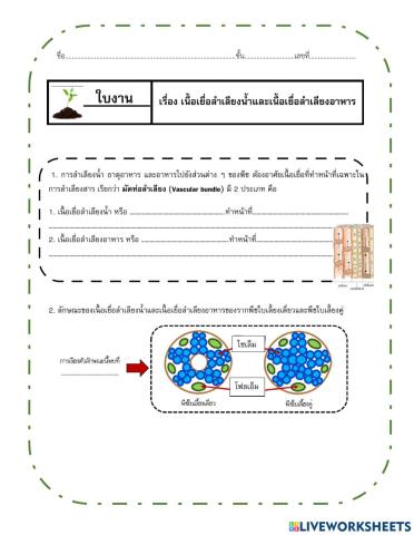 ใบงานมัดท่อลำเลียง