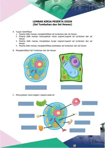 Sel Tumbuhan dan Sel Hewan