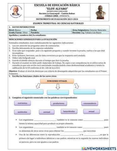 Examen trimestral
