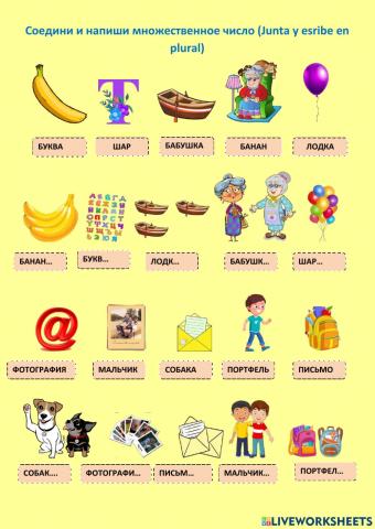 Множественное число существительных
