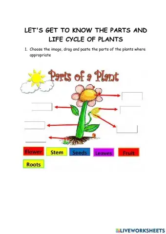 Plant parts