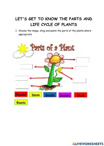 Plant parts