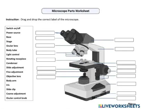 Part of compound microscope