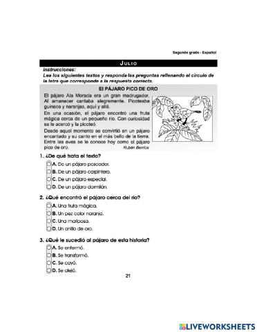 Prueba Formativa Julio