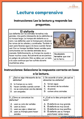 Lectura comprensiva. Elefantes