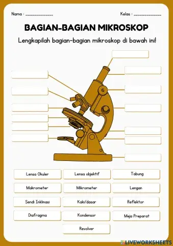 LKPD 1 Bagian Mikroskop