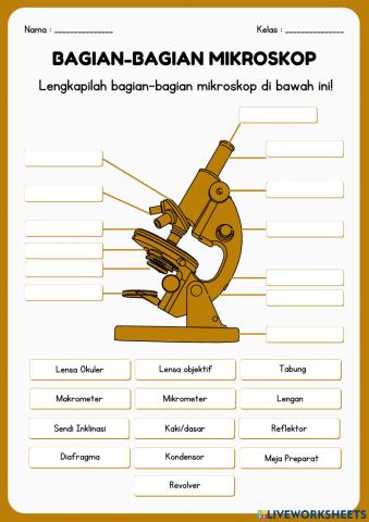 LKPD 1 Bagian Mikroskop