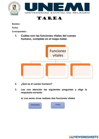 El cuerpo humano y sus funciones vitales