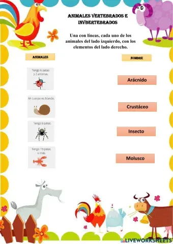 Animales vertebrados e invertebrados