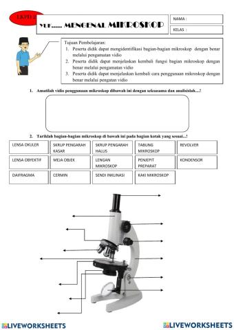 worksheet mikroskop
