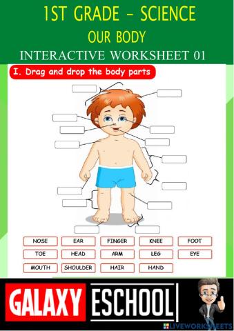 1st-science-ps1 to 9