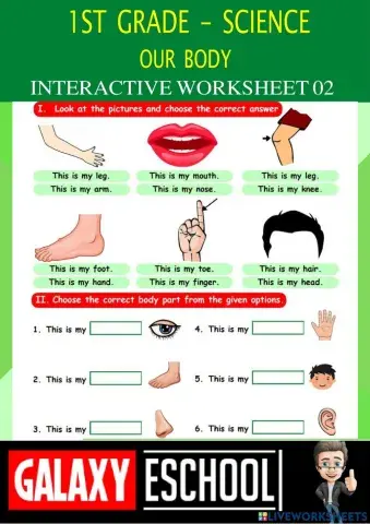 1st-science-ps02-our body- galaxy