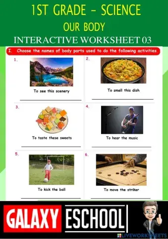 1st-science-ps03-our body-Galaxy