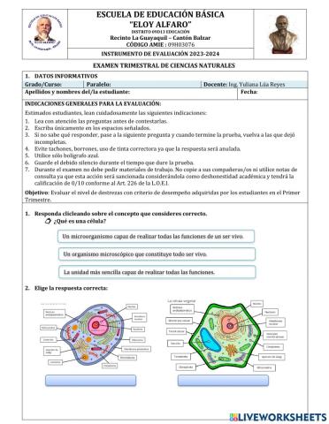 Examen 2 ciencias
