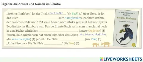 B 1.1. Lektion 39: Genitiv üben