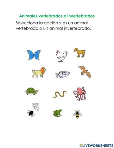 Animales vertebrados e invertebrados