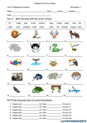 Unit 3 :ws1 Endangered Animals