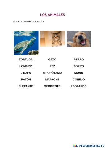 Los Animales