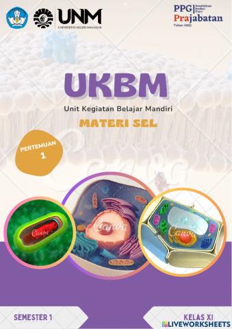UKBM sel
