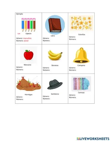 Género y número del sustantivo