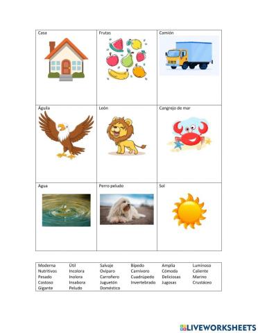 Adjetivo calificativo