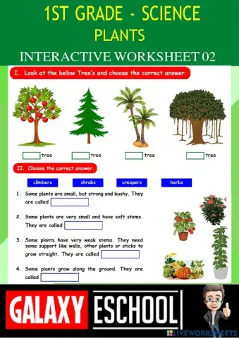 1st-science-ps02-plants-Galaxy
