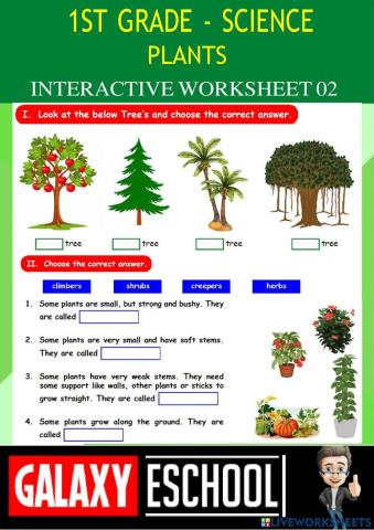 1st-science-ps02-plants-Galaxy