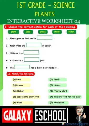 1st-science-ps04-plants-Galaxy