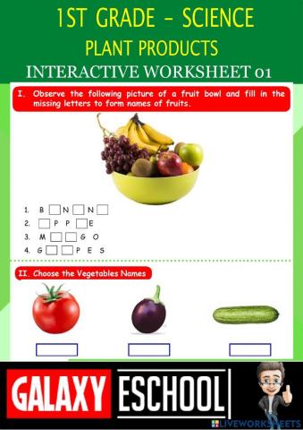1st-science-ps01-plant products-Galaxy