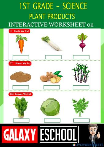 1st-science-ps02-plant products-Galaxy