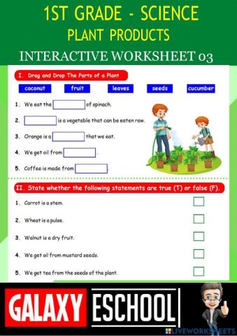 1st-science-ps03-plant products-Galaxy