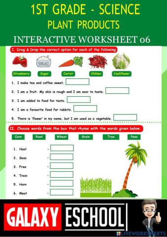1st-science-ps06-plant products-Galaxy